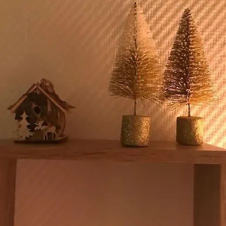 Apartment Aux Pieds Des Remontees Mecaniques *