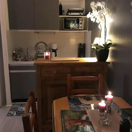 Aux Pieds Des Remontees Mecaniques Apartment *