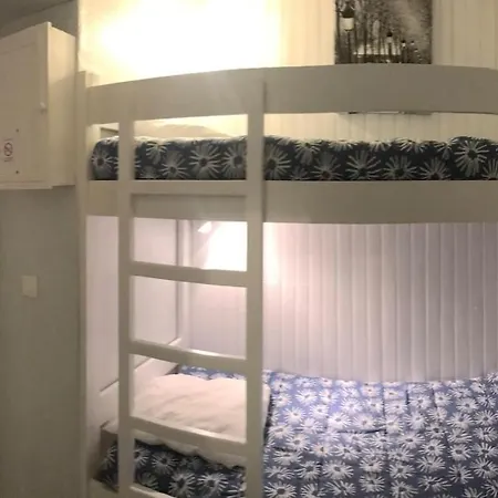 Aux Pieds Des Remontees Mecaniques Appartement