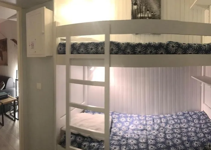 Aux Pieds Des Remontees Mecaniques Apartment